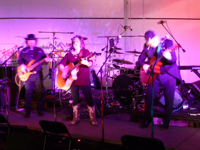 Sharyn Lee and The Sundowners performing live on stage