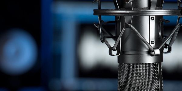 Professional studio microphone